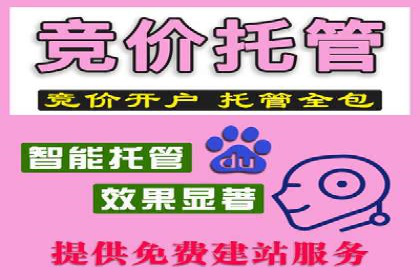 深度解析：百度推广费用与ROI的关联案例